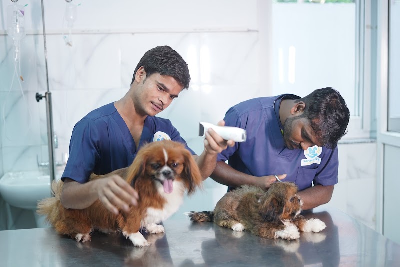 Sapna Pet Hospital — Photo 2