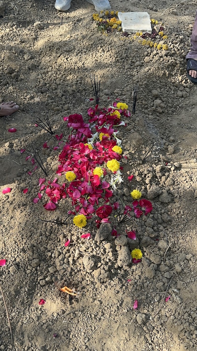 Sara Dog Care — Photo 2