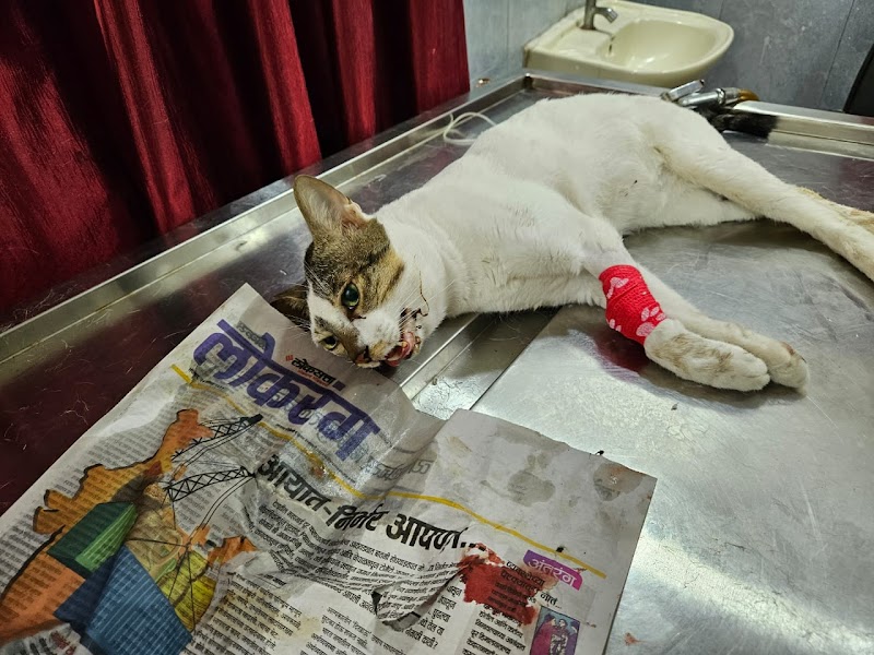 Sarvadnya Pet Care Unit — Photo 2