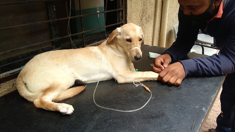 Sarvadnya Pet Care Unit — Photo 3