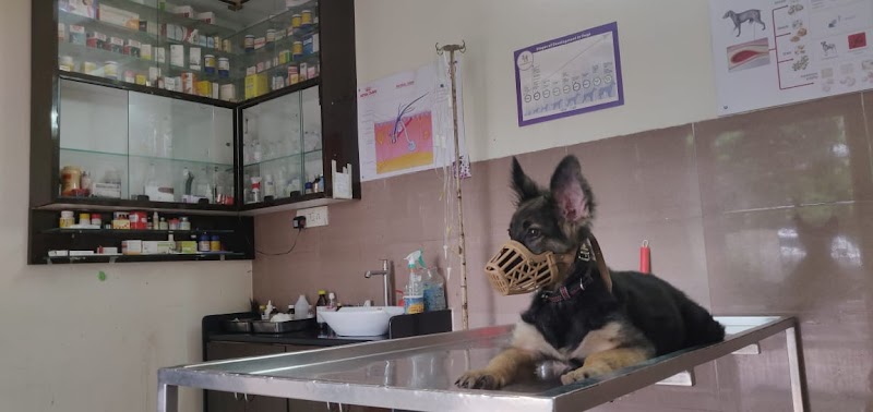 Sarvadnya Pet Care Unit — Photo 4