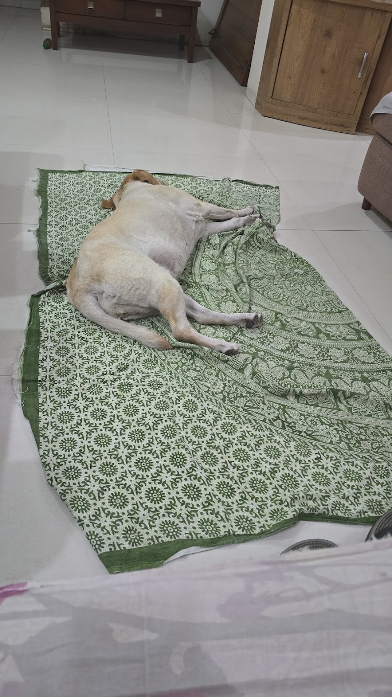 Sasha's Bark and Wag — Photo 4