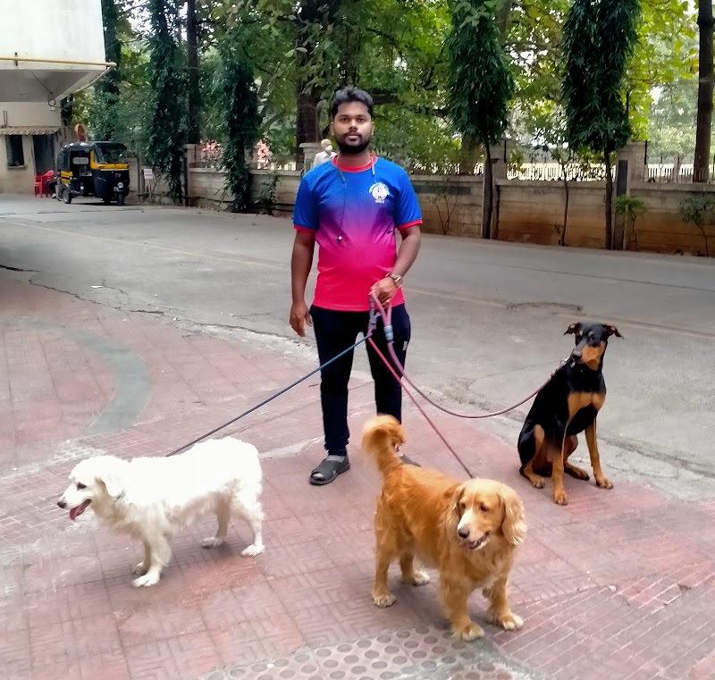 Satvik Pet's Dog Walking Services Pune