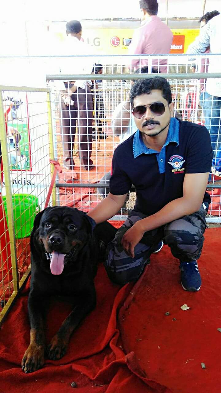 SchonCanine dog training centre — Photo 2