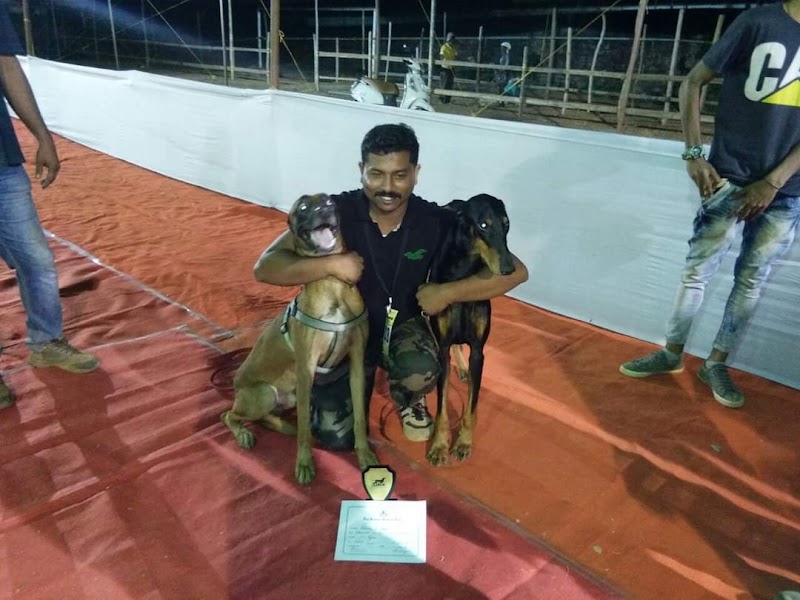 SchonCanine dog training centre — Photo 3