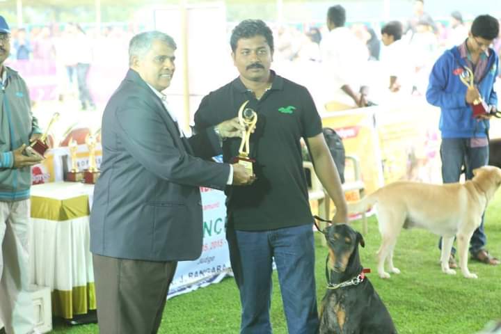 SchonCanine dog training centre — Photo 4