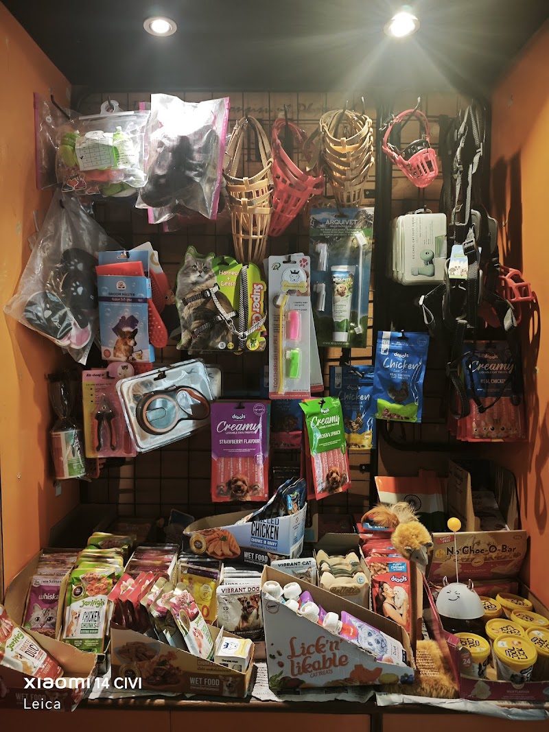 SCOOBEE DOO PET SHOP — Photo 3