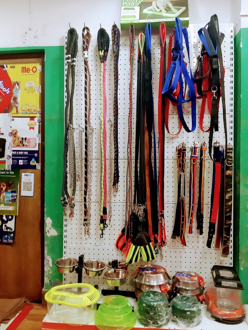 SCOOBEE DOO PET SHOP — Photo 4