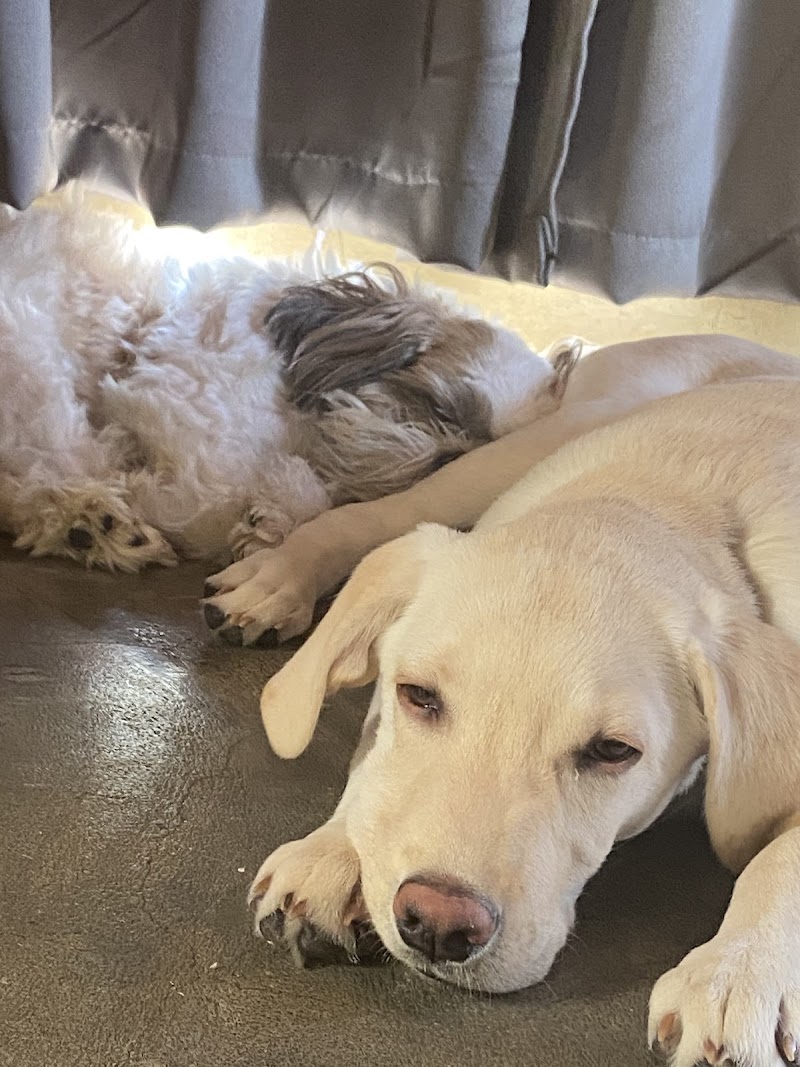 SCOOBY AGENCY — Photo 3