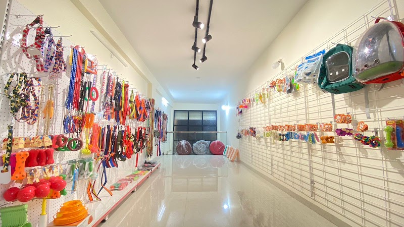 Scooby Dooby The pet and Grooming Shop — Photo 2