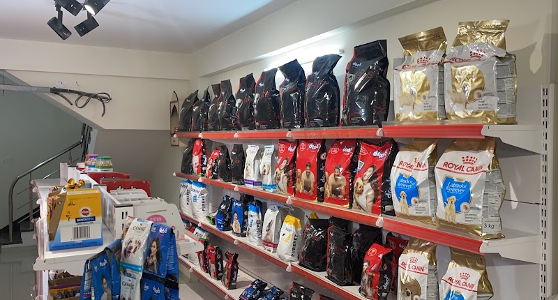 Scooby Dooby The pet and Grooming Shop — Photo 4