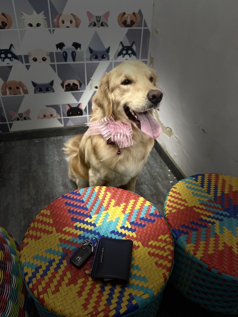 Scoopy Scrub Hubli — Photo 2