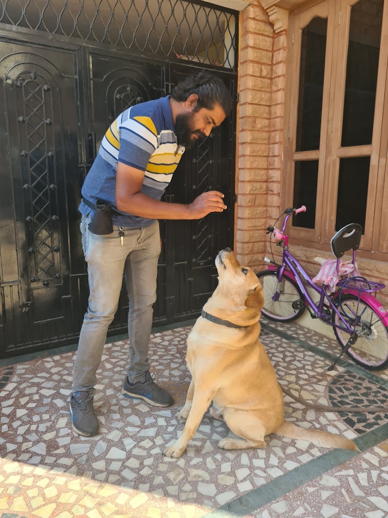 Sepoy k9 Dog Boarding and Training Center