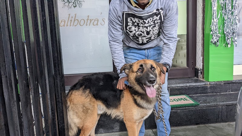 Shalihotra's Vets — Photo 2