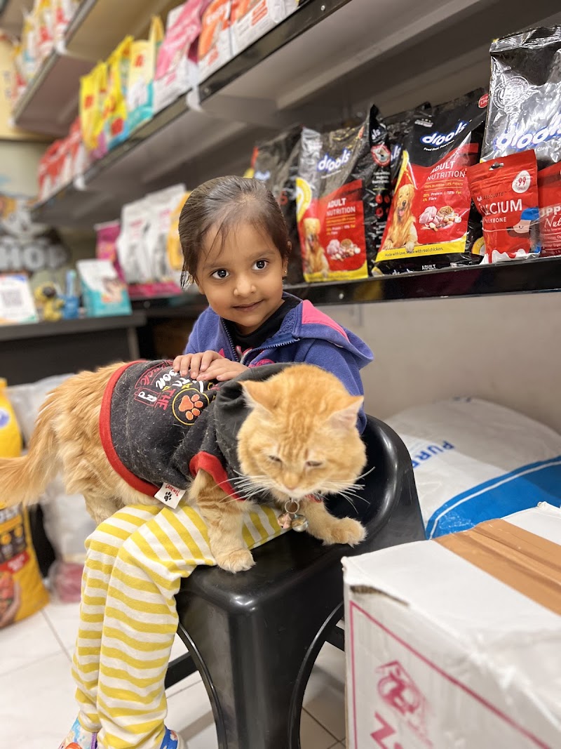 Sharma 'S Pet Shop — Photo 2