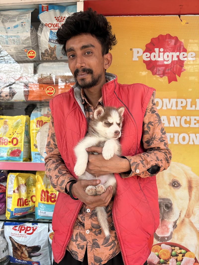 SHASHA PET KENNEL — Photo 3