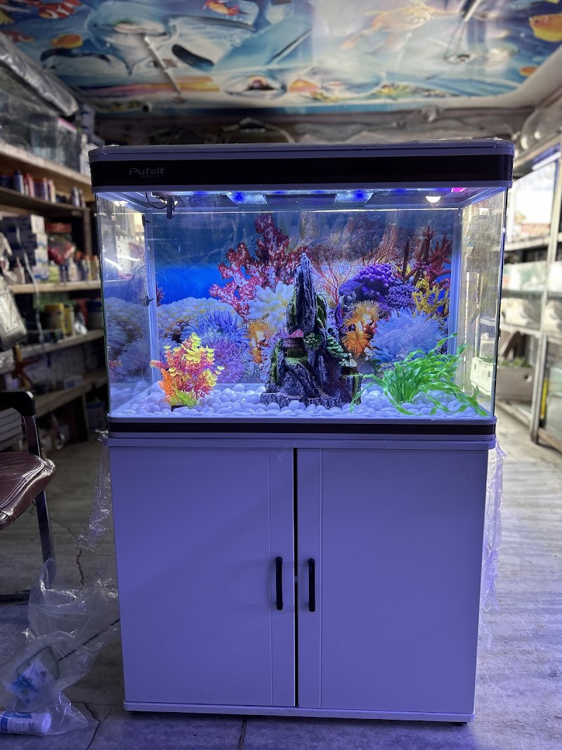 Sheela Fish House — Photo 3