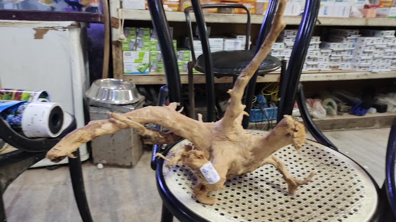 Sheela Fish House — Photo 4