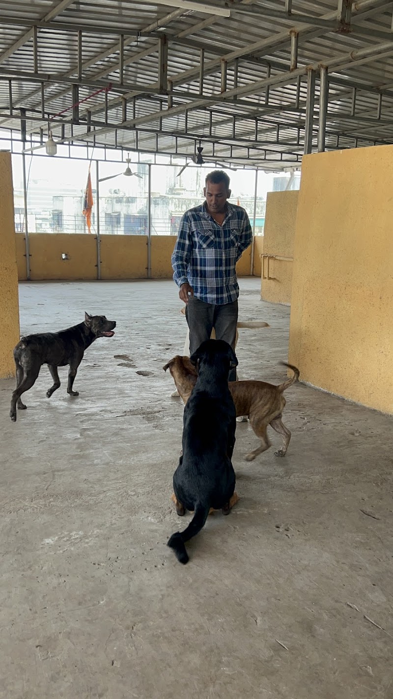 Shivansh kennel — Photo 3