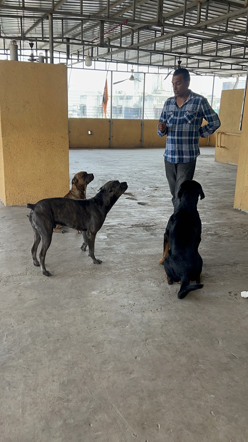 Shivansh kennel — Photo 4