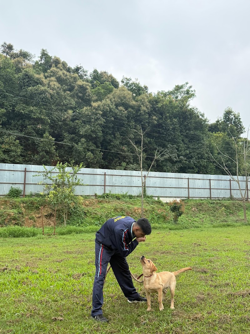 Shooter dog training academy