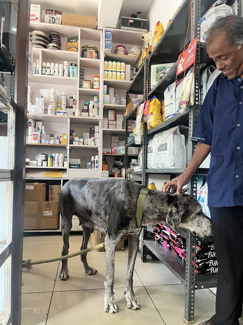 Shravanthi Pet Clinic — Photo 2