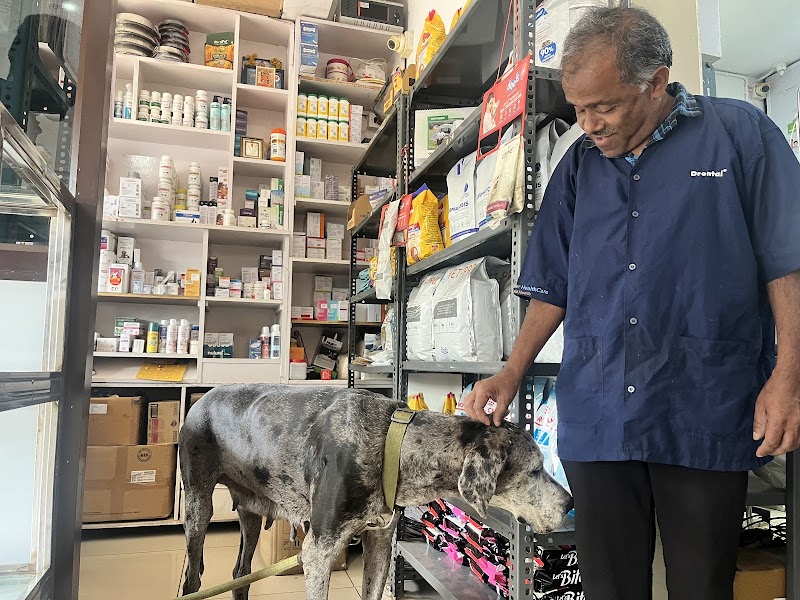 Shravanthi Pet Clinic — Photo 3