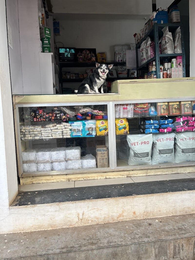 Shravanthi Pet Clinic — Photo 4