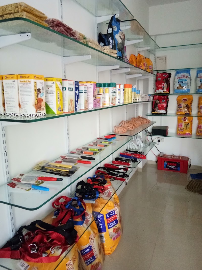 Siddhant Pet Clinic — Photo 4
