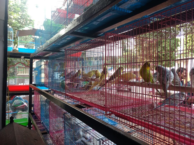 SJ pet shop — Photo 2