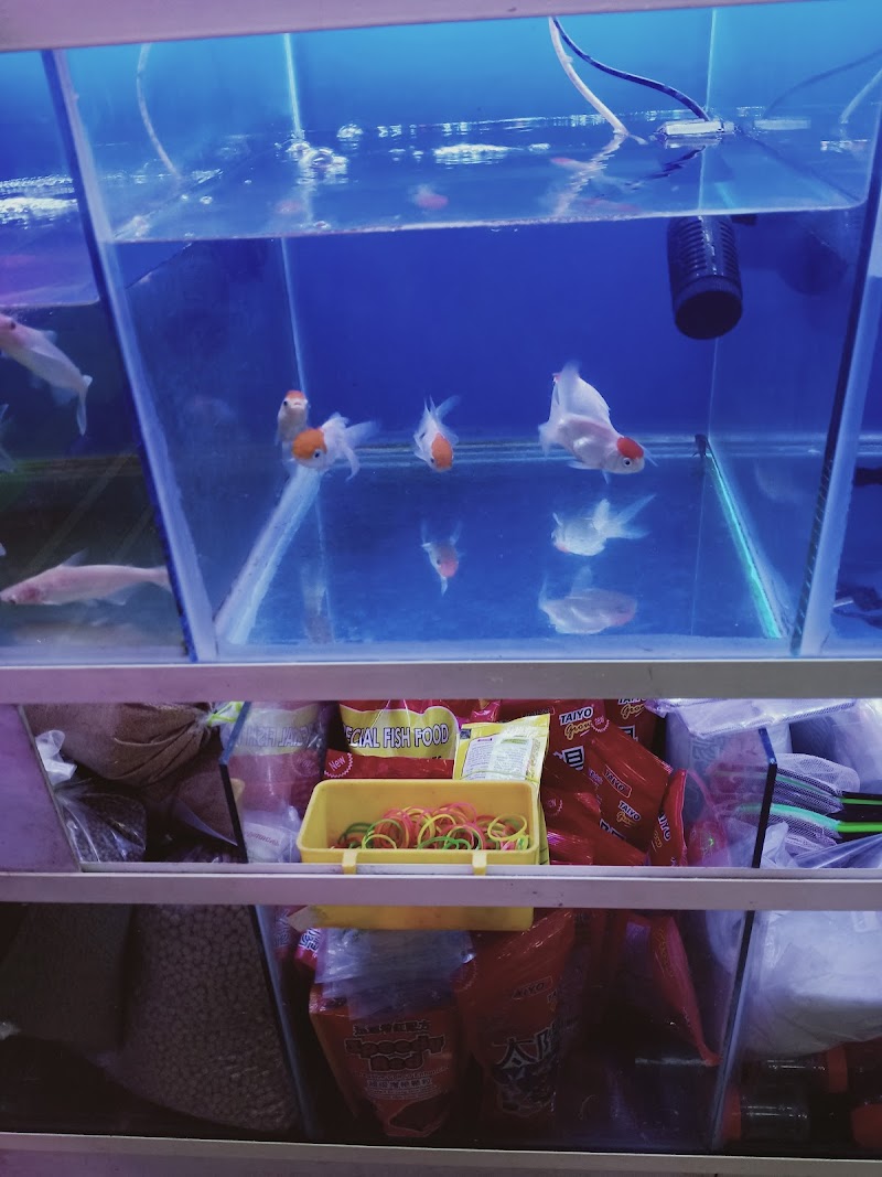 SJ pet shop — Photo 3