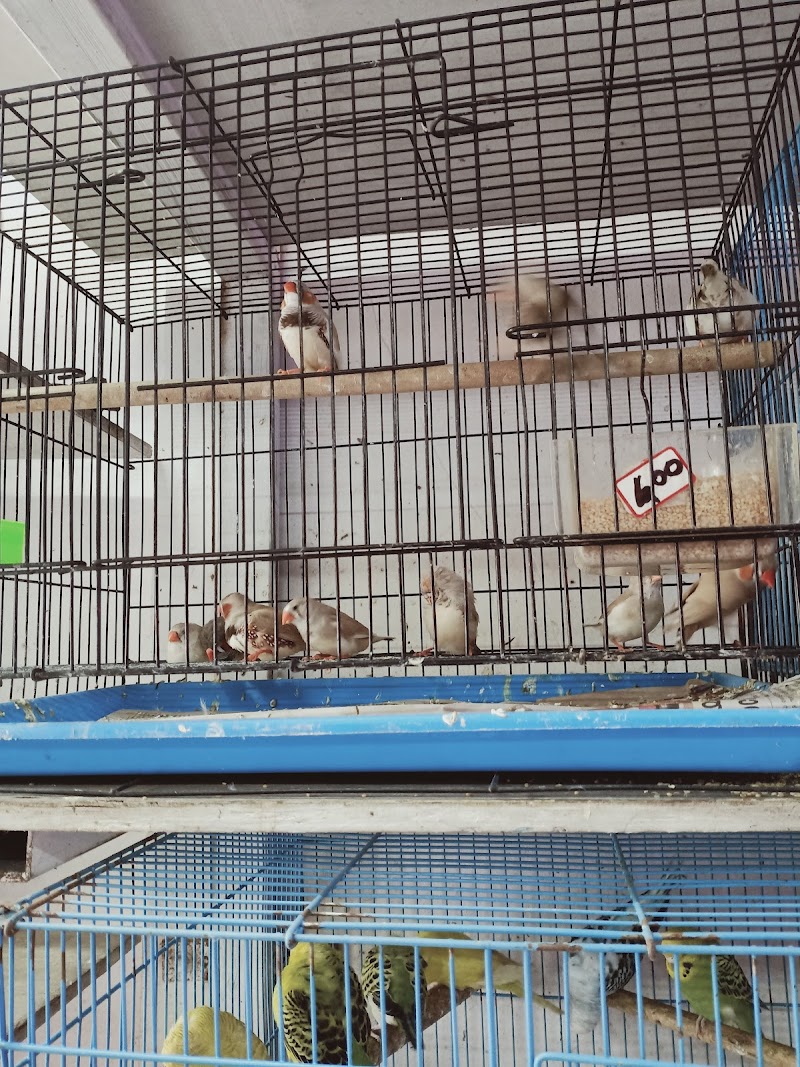SJ pet shop — Photo 4
