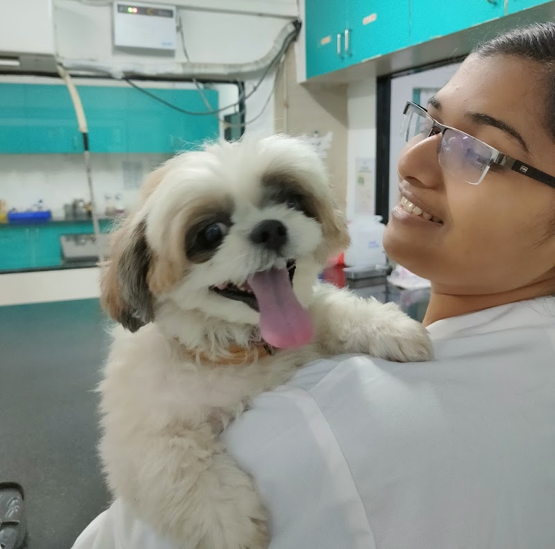 SKS VETERINARY HOSPITAL — Photo 4