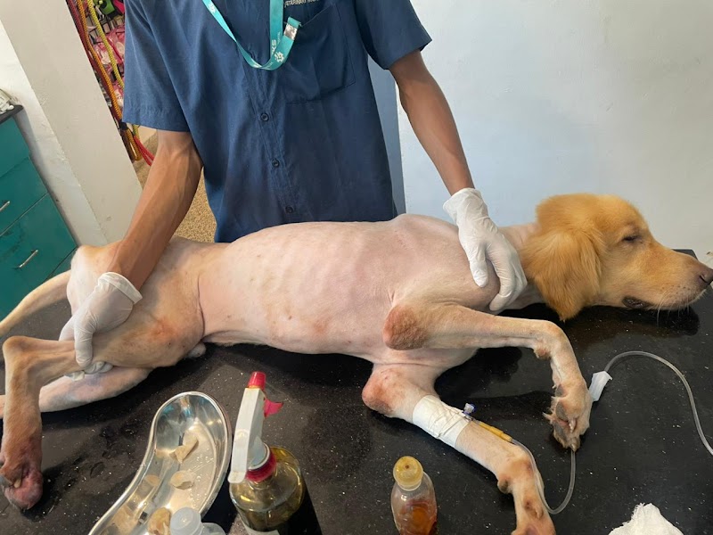 SKS Veterinary Hospital, Trivandrum