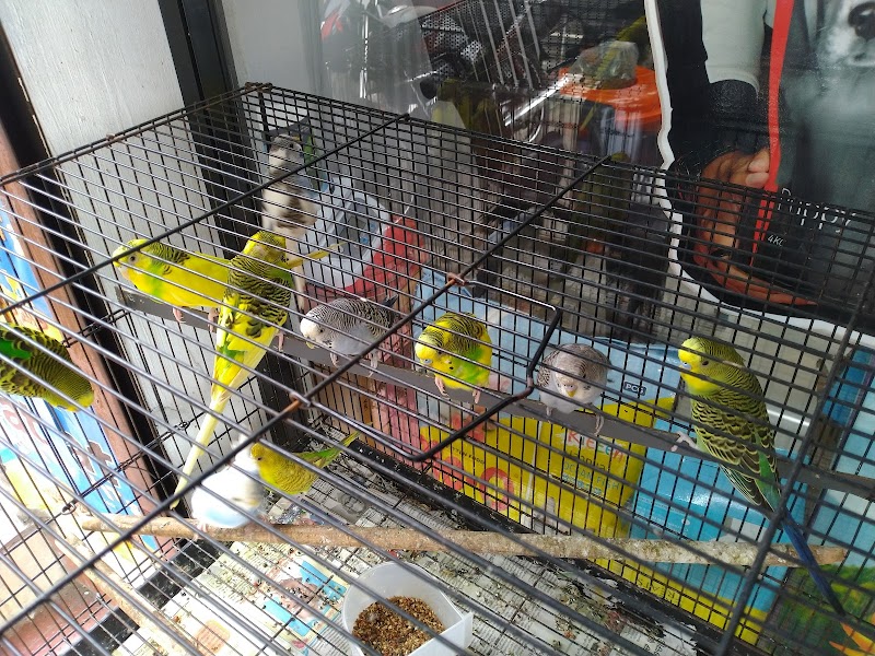 SKV PET NEEDS — Photo 2