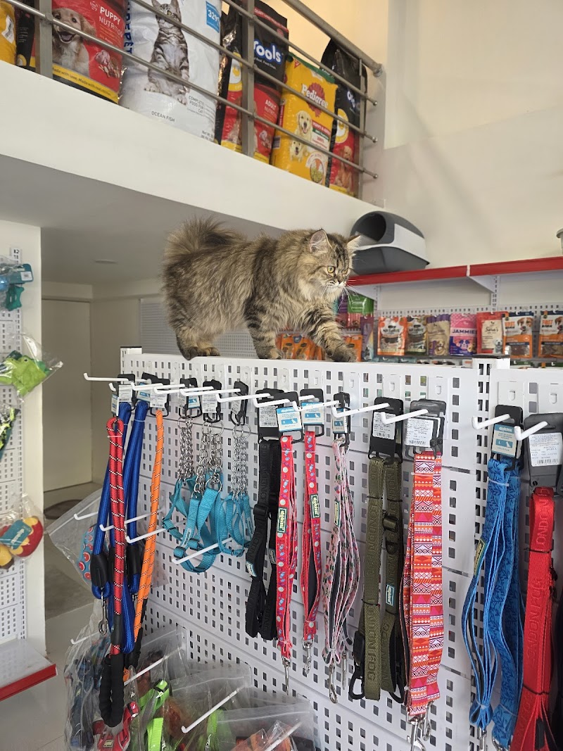 SKYDOGS FATEHGUNJ — Photo 3