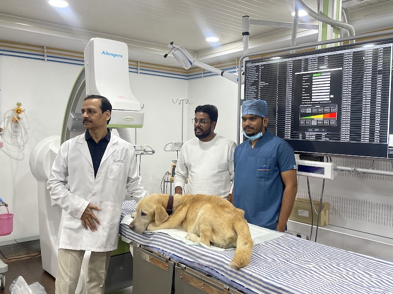 Small Animal Clinic — Photo 2