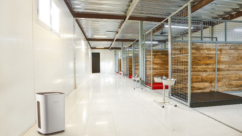 Smart Canines Dog Resort and Training