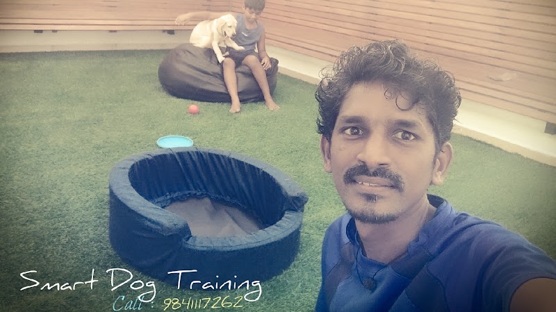 Smart Dog Trainer Sathish