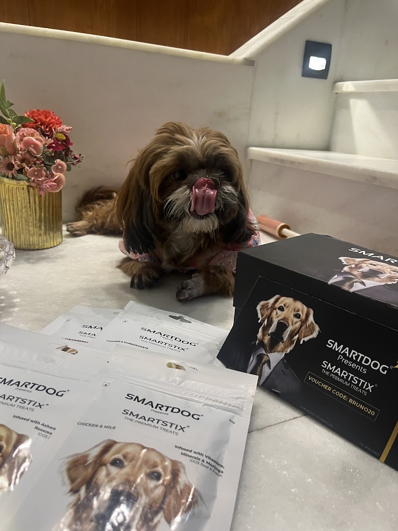 Smartdog — Photo 2