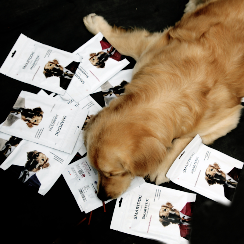 Smartdog — Photo 3