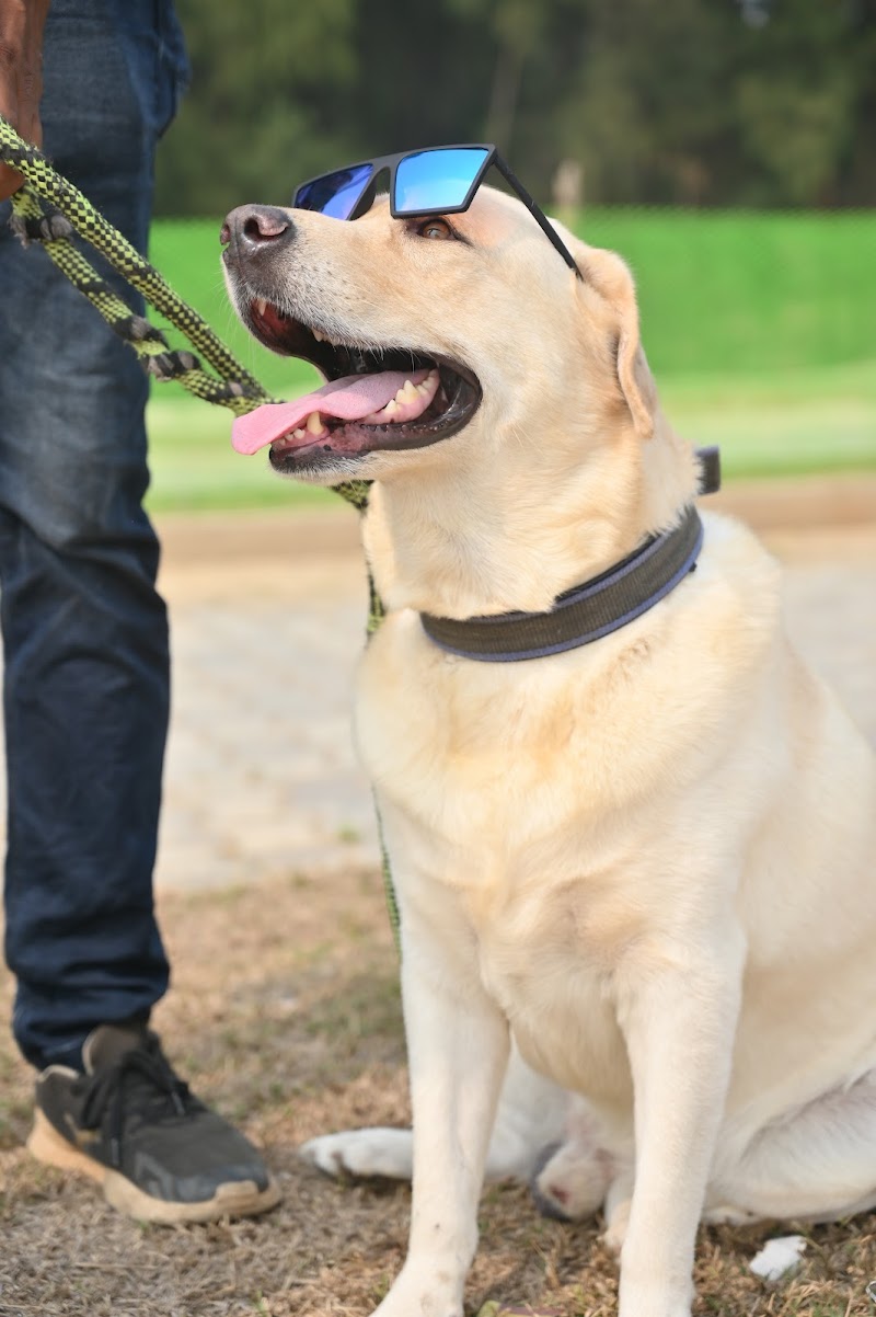 SMIT n PAW — Photo 3