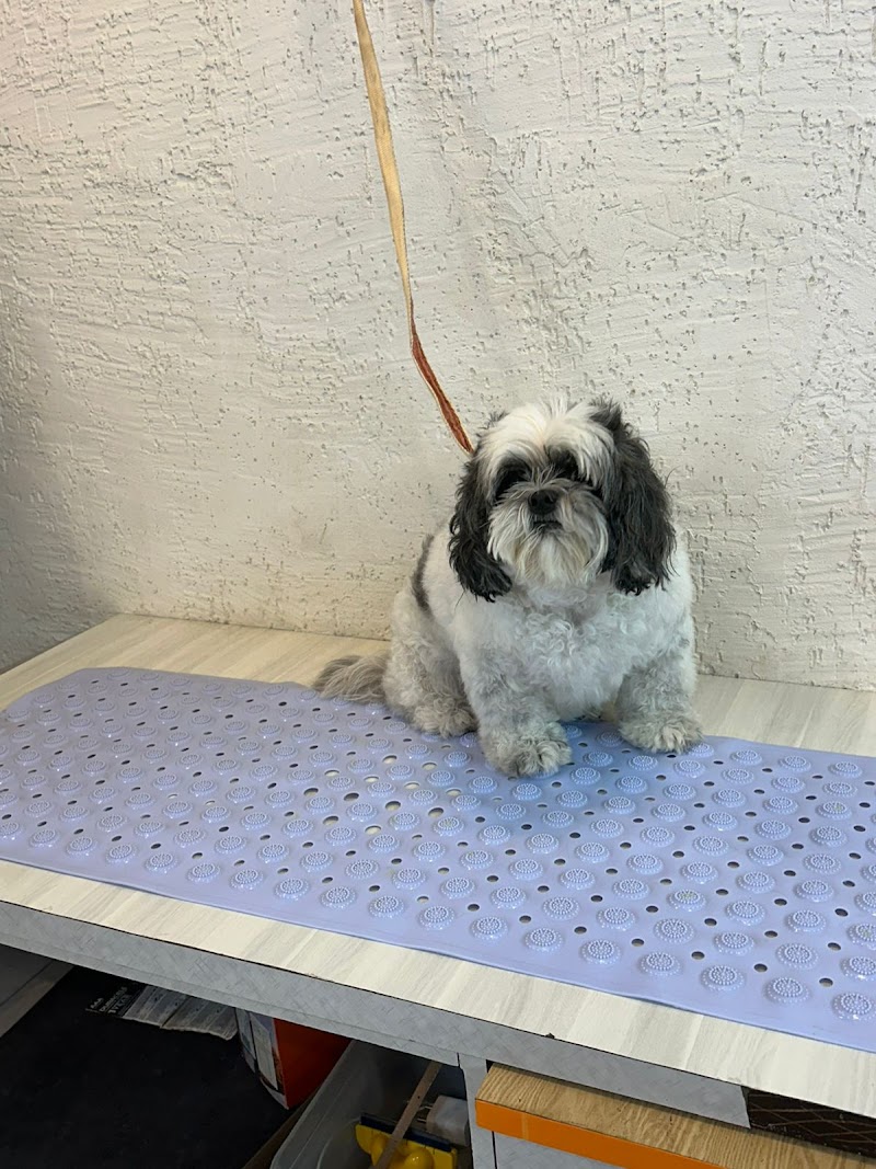 Sniff ‘N’ Snooz The Pet Store & Grooming Spa — Photo 3