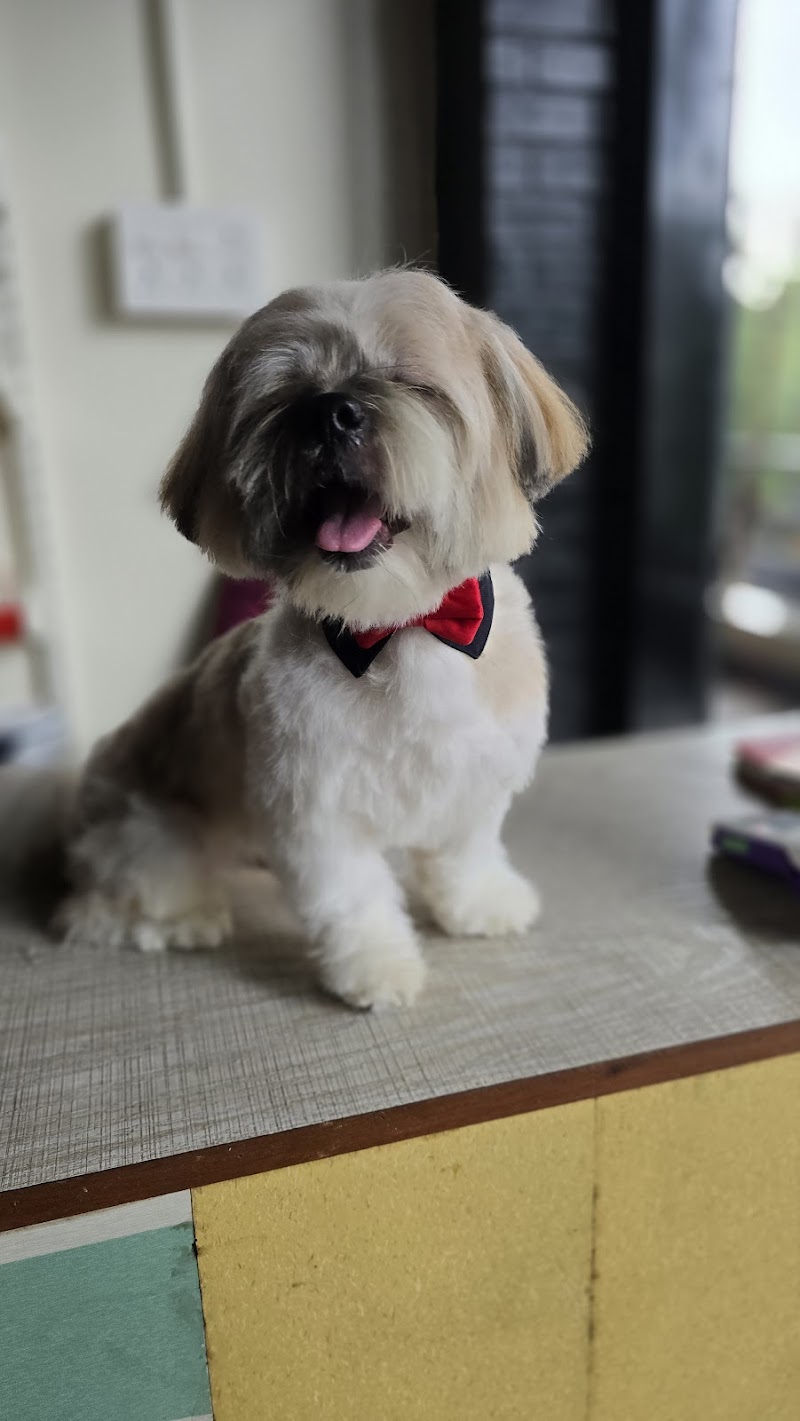 Sniffy Noses Pet shop & Grooming Parlour