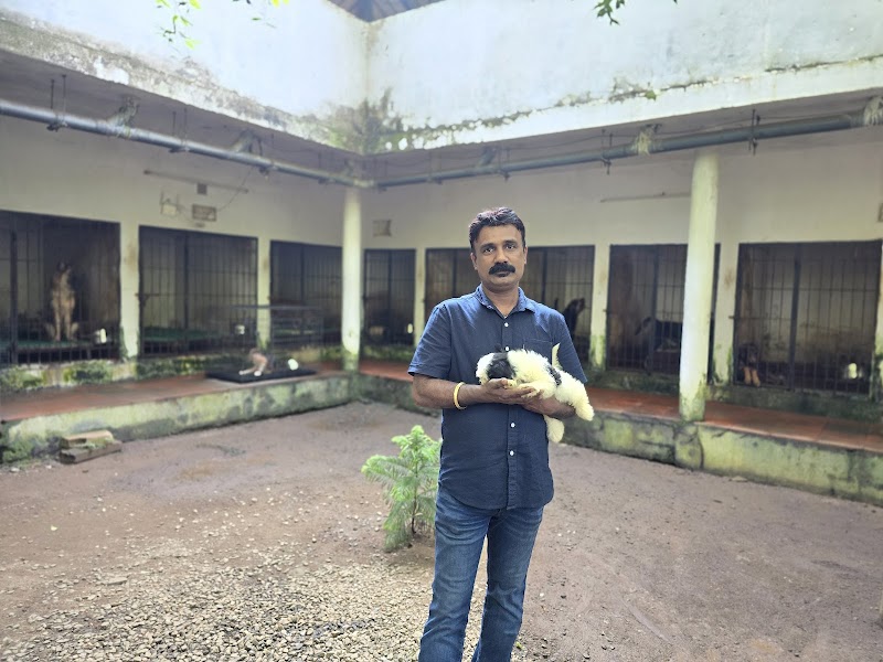 Sofine Kennels, Dog Farm — Photo 2