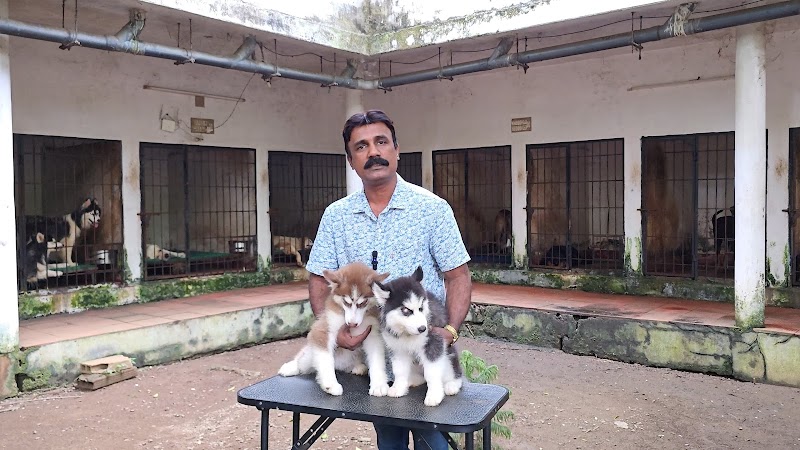 Sofine Kennels, Dog Farm — Photo 4