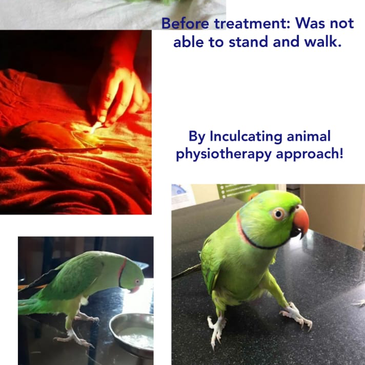 Sparsh Pet Clinic — Photo 1