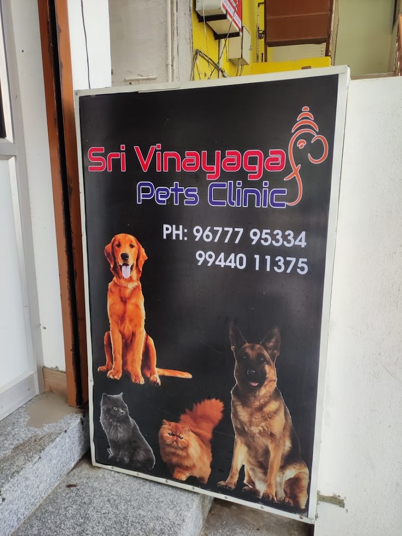 Sri Vinayaga Pets Clinic — Photo 2