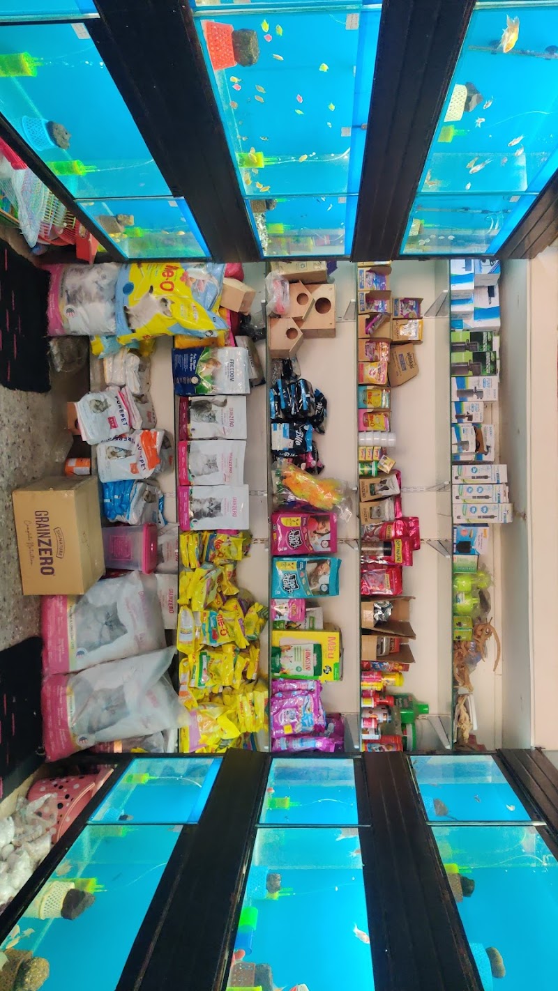 SS Aquarium and Pet World — Photo 4