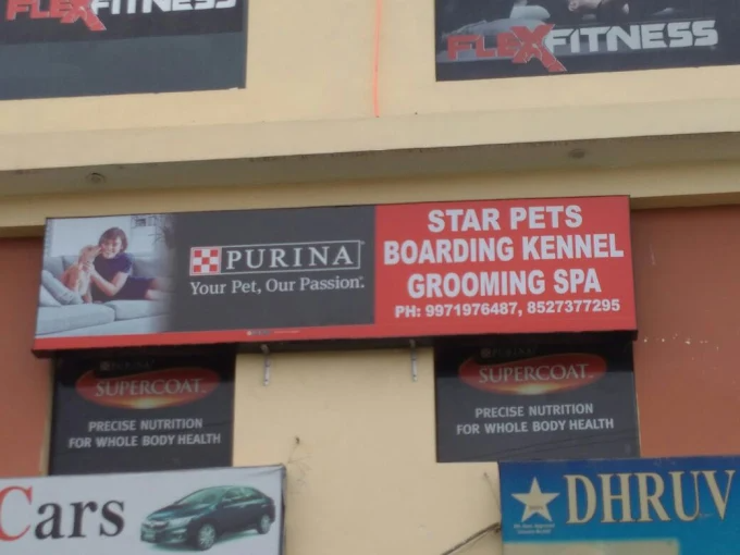 Star Pets | Grooming & Pet Shop